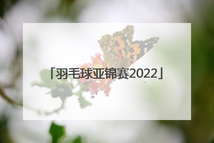 「羽毛球亚锦赛2022」羽毛球亚锦赛2022赛程